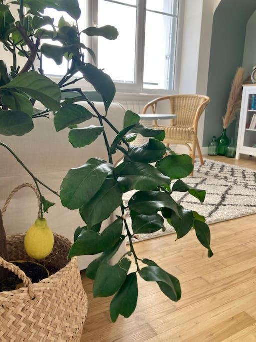포에낭 Le Citronnier 아파트 외부 사진
